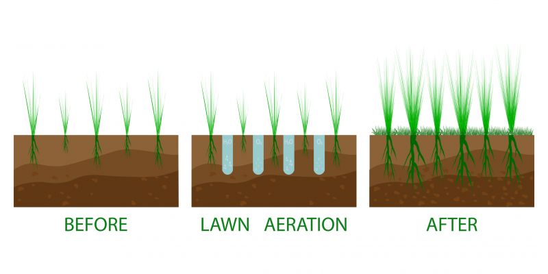 Commercial Grass Aeration