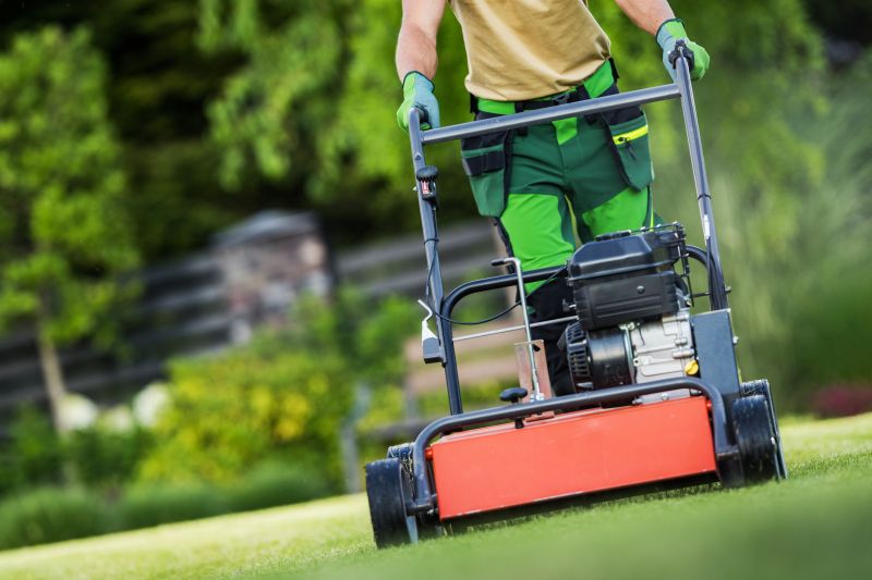 Lawn Aeration Service