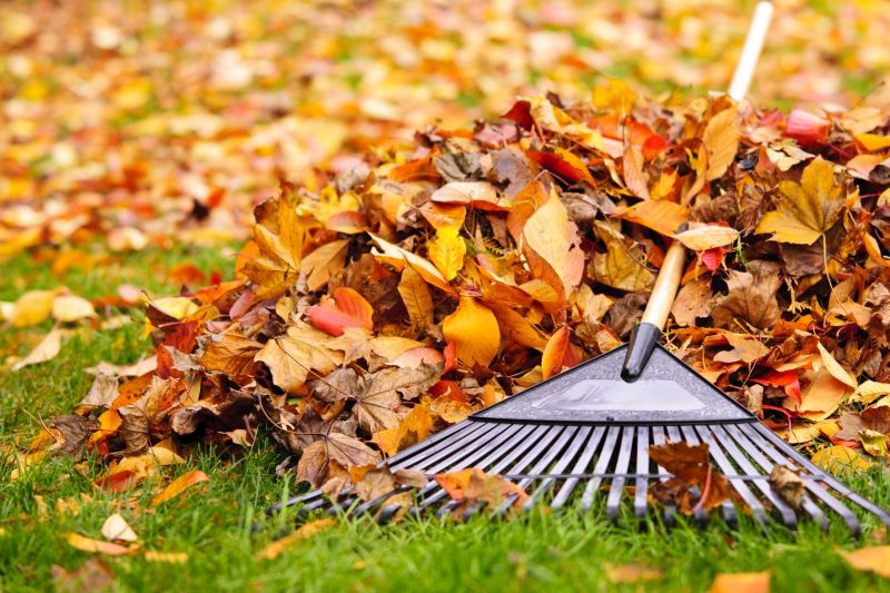 Autumn Yard Care