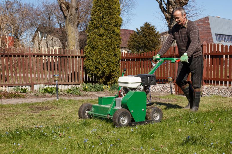 Lawn Aeration Service detail