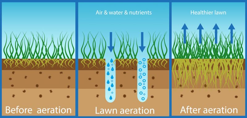 Residential Lawn Aeration detail