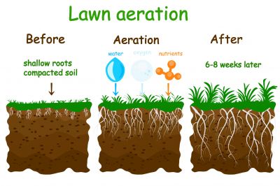 Spring Lawn Aeration detail