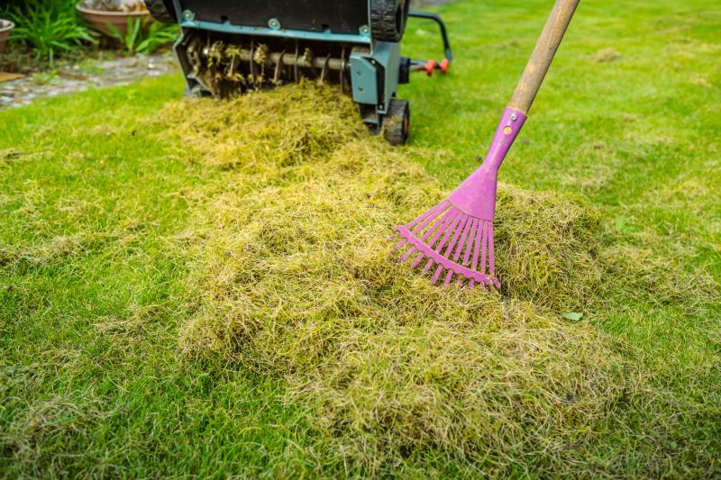 Lawn Aeration Equipment in Use
