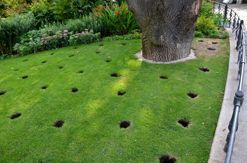 Lawn Core Aeration