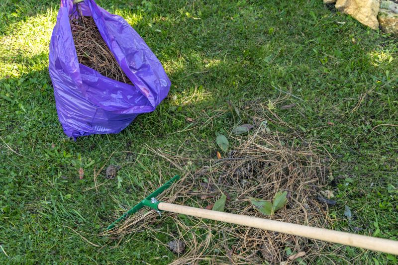 Power Raking Service