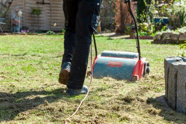 Lawn Power Raking in Anaheim