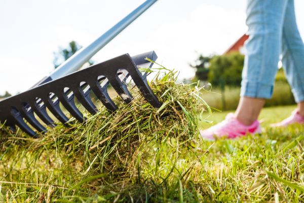 Thatch Removal Service in Anaheim