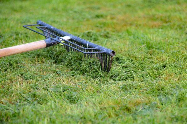 Yard Dethatching Service in Anaheim